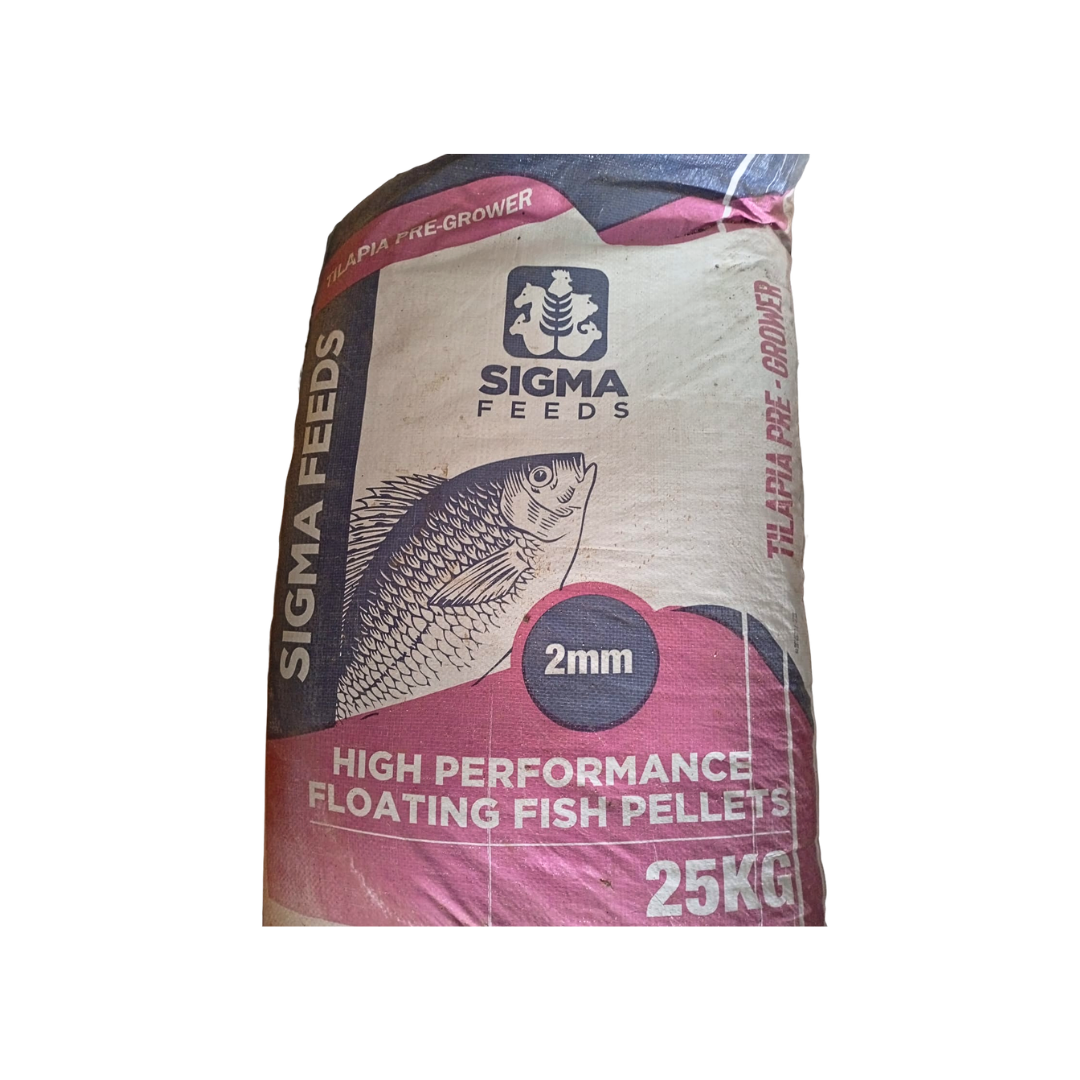 Tilapia Pregrower